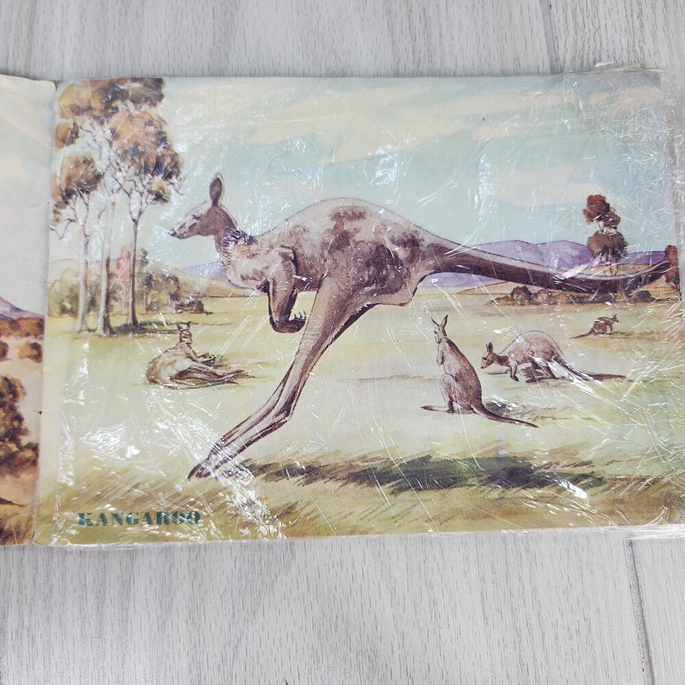 Vintage 1953 Australian Animals Children’s Book Photograpatures Illustrated - Picture 5 of 16